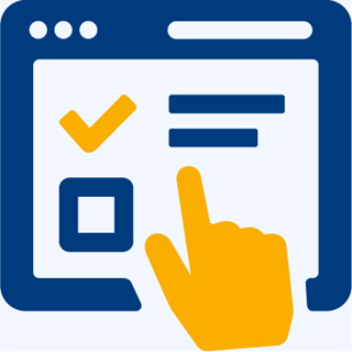 Online Surveys